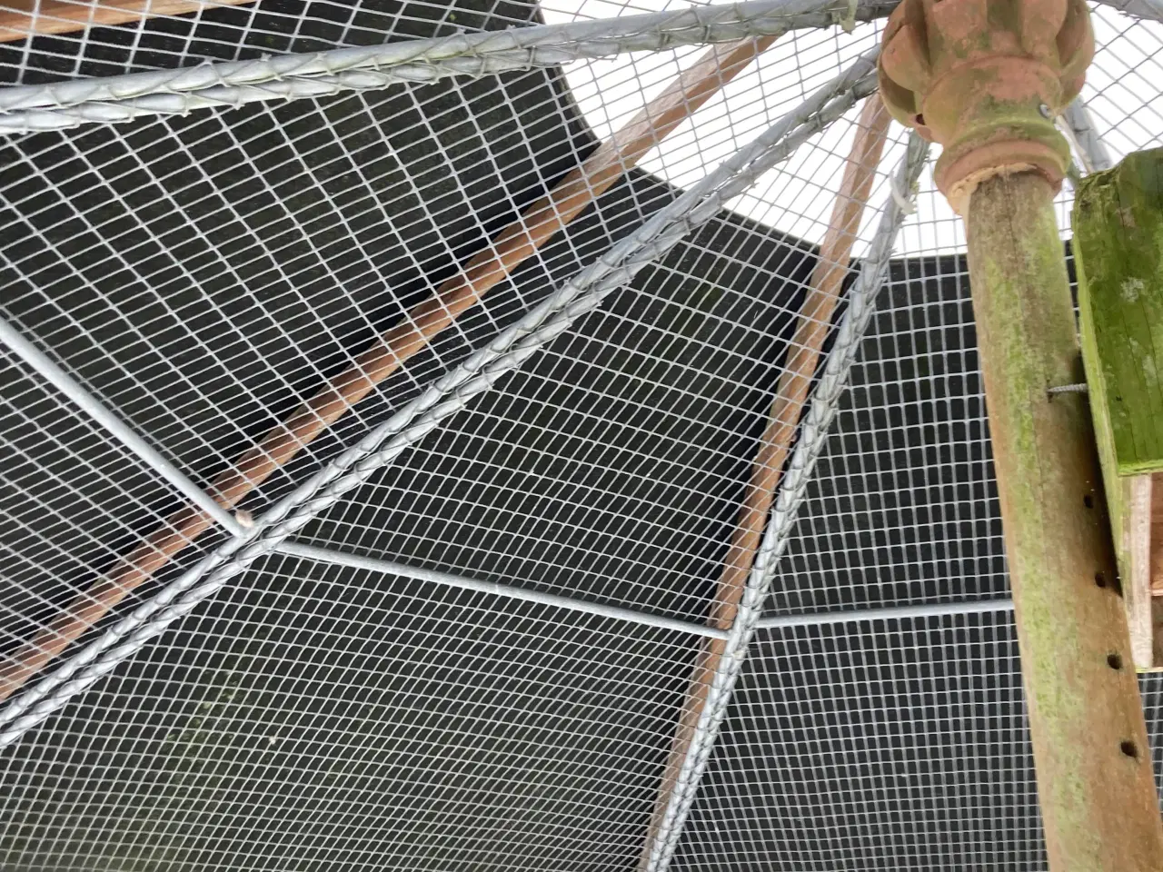 Billede 3 - Et stk 8 kantet Randers Volier komplet 4500krv88