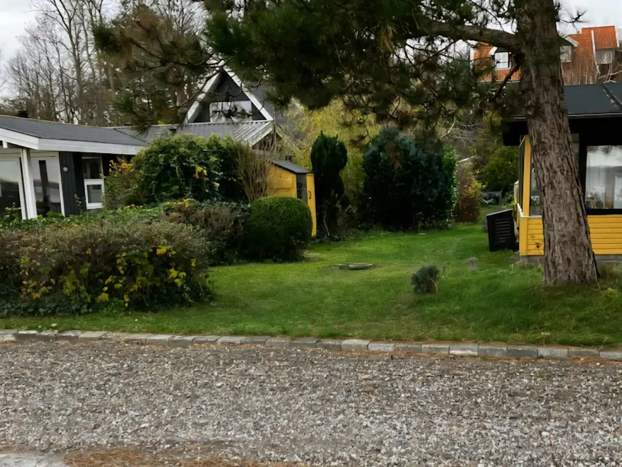 Billede 2 - 10 raceduer, tumlinger, røde og sorte Gratis