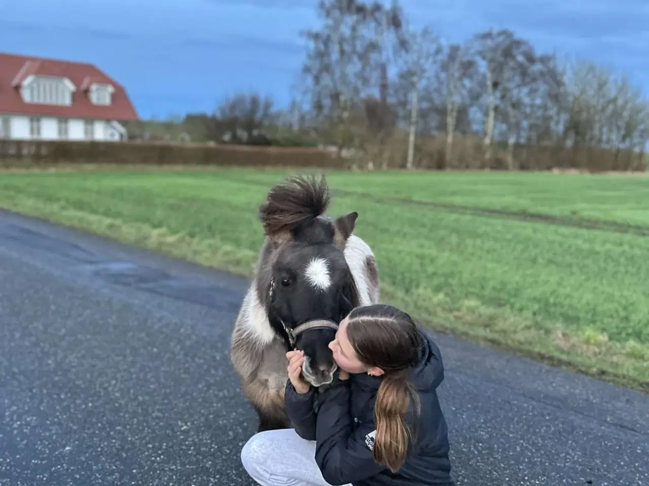 Billede 3 - Bedækning tilbydes 