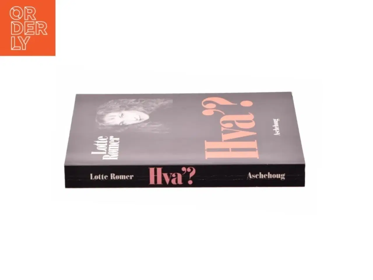 Billede 3 - Hva&#39;? af Lotte Rømer (Bog)
