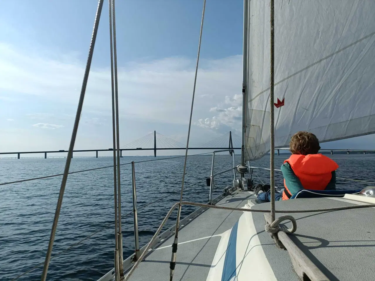 Billede 14 - Møn 341