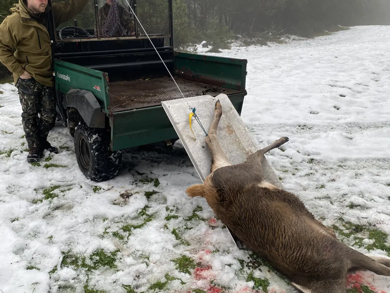 Billede 17 - Kawasaki Mule UTV