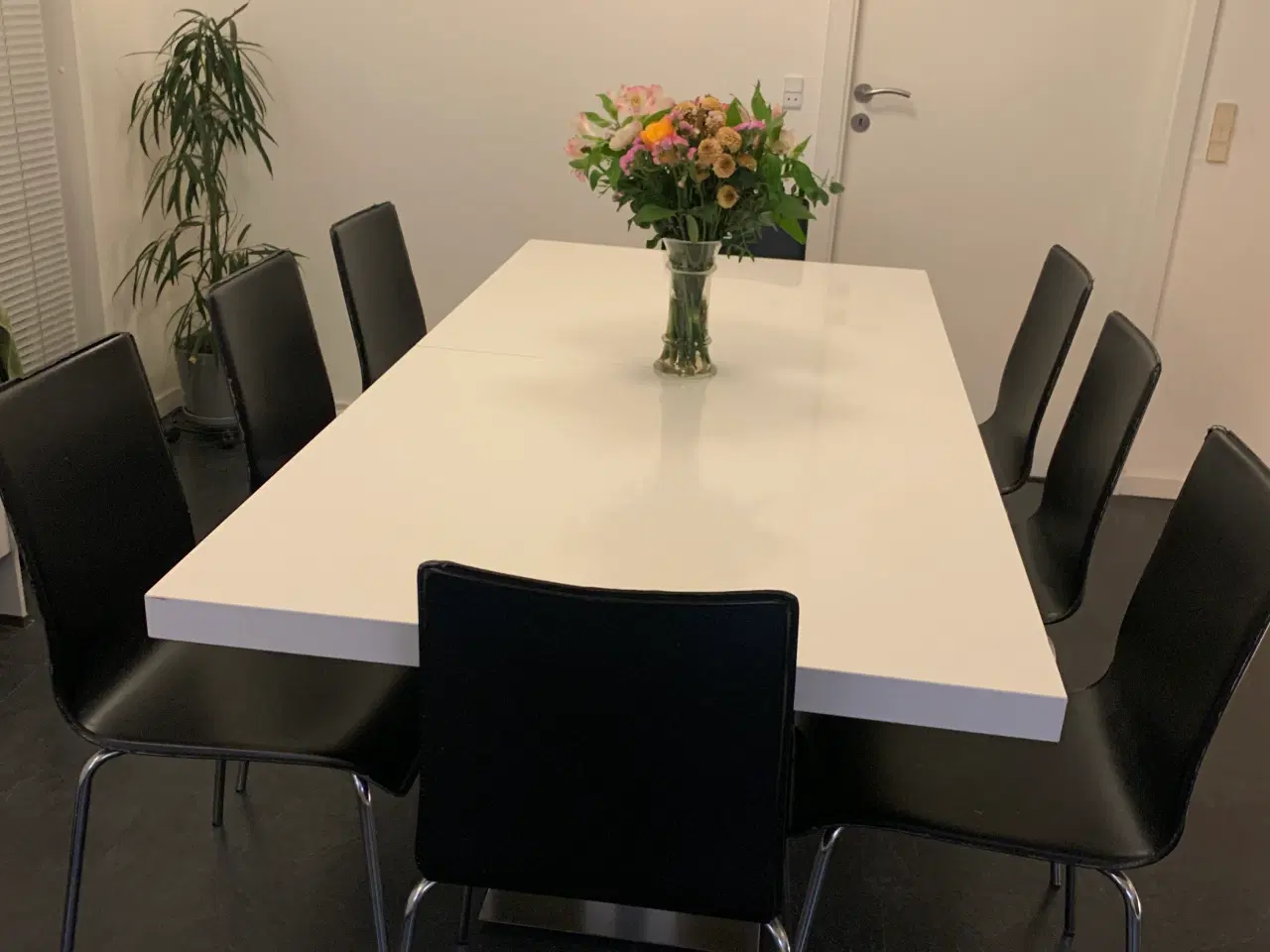 Billede 1 - Spisebord med 8 stole