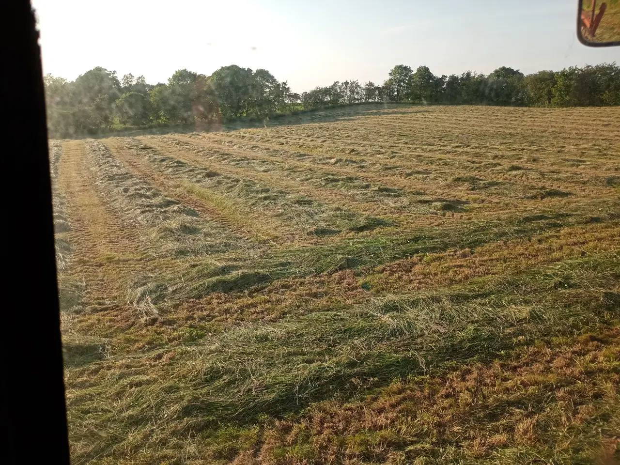 Billede 2 - Wrap hø græs