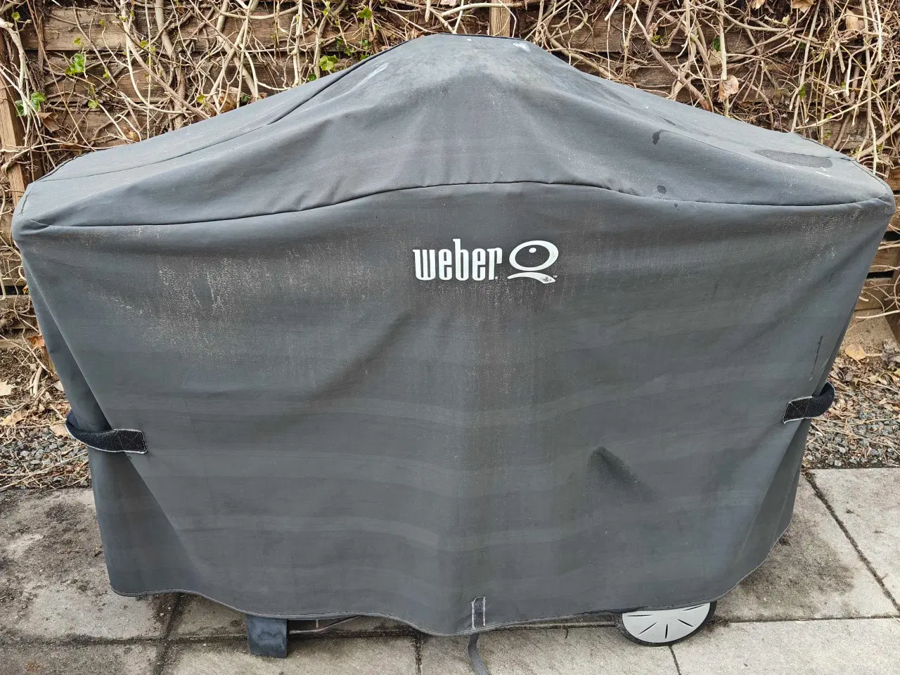 Billede 1 - Weber Q3200