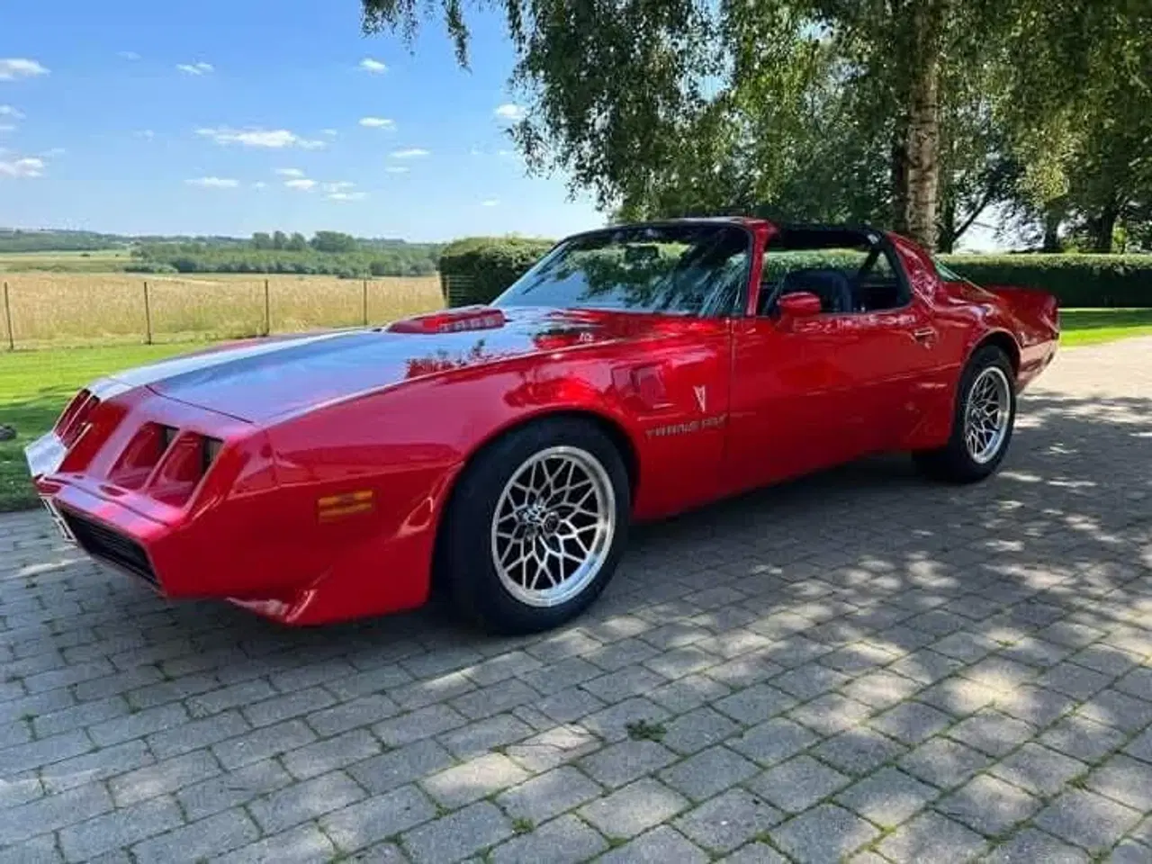 Billede 1 - Trans Am