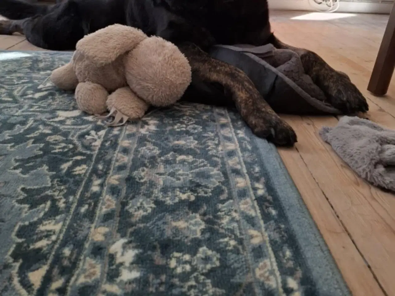 Billede 1 - Det er et tæppe