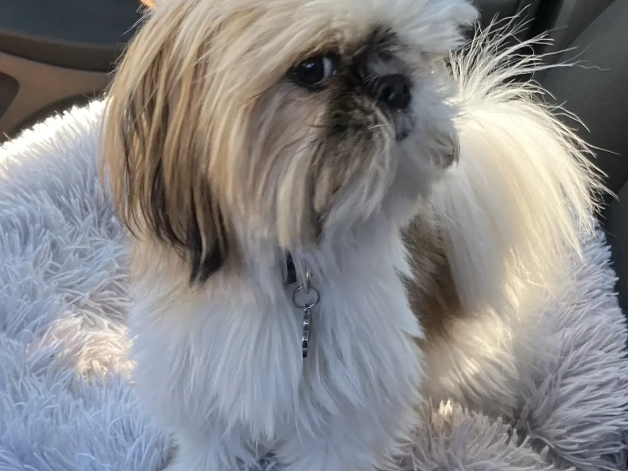 Billede 13 - Mini boomer 