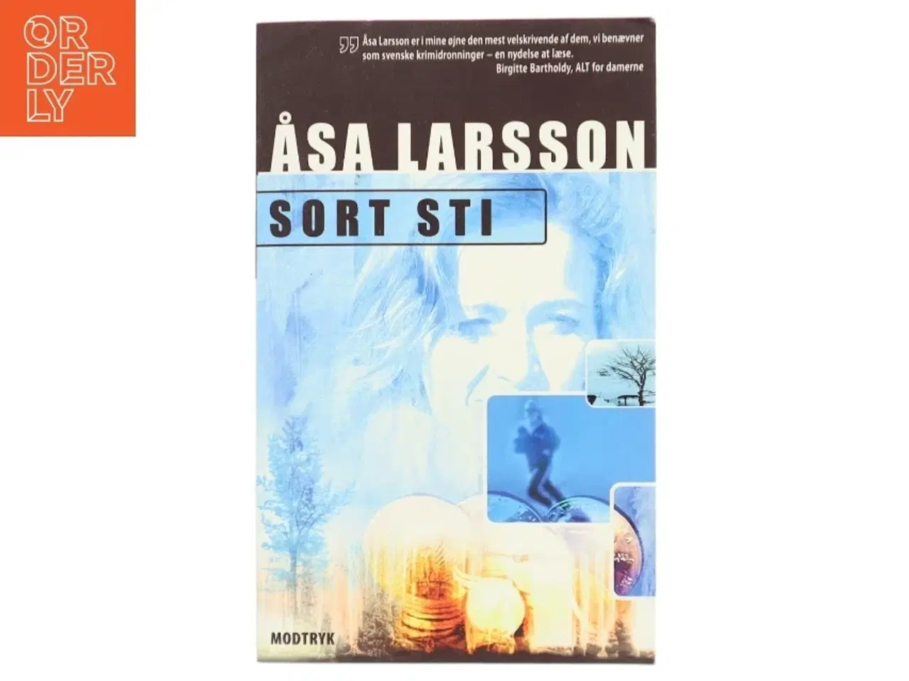 Billede 1 - Sort sti af Åsa Larsson (Bog)