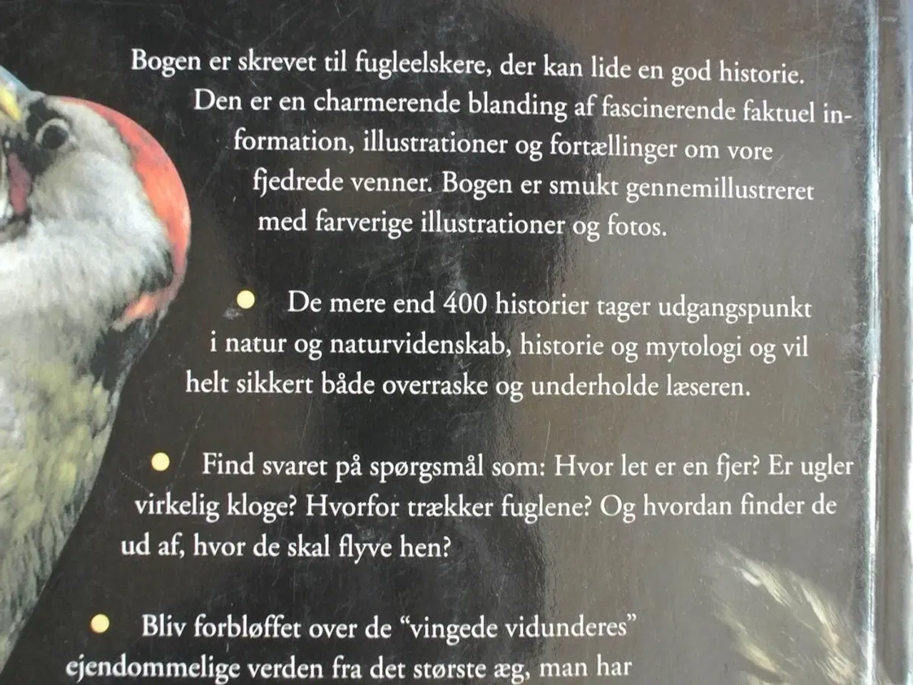 Billede 2 - fantastiske fugle, af roger lederer, emne: dyr
