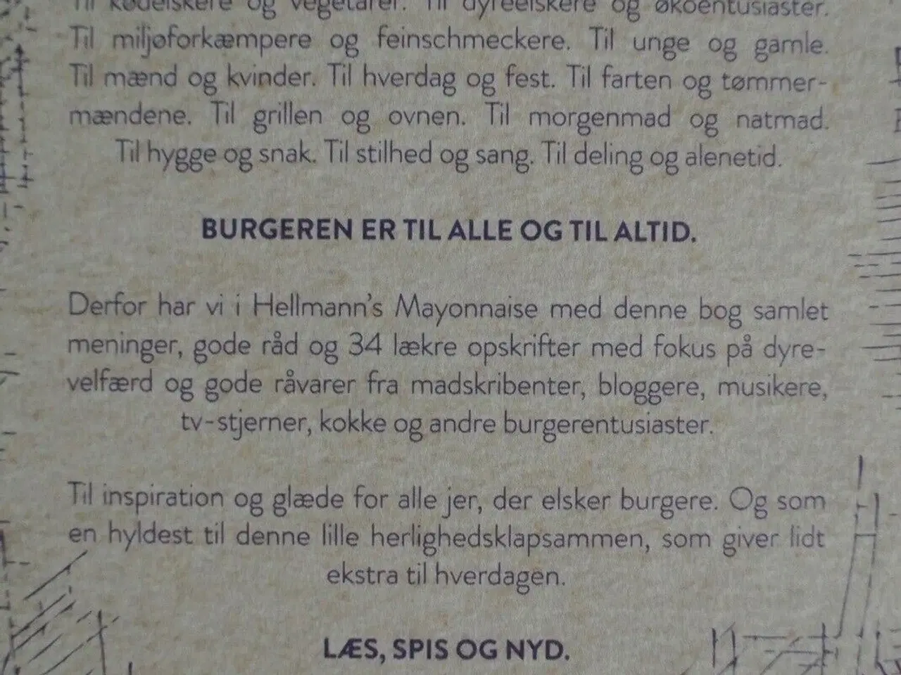 Billede 2 - hellmann's big burger book, red. af leyla larsson 