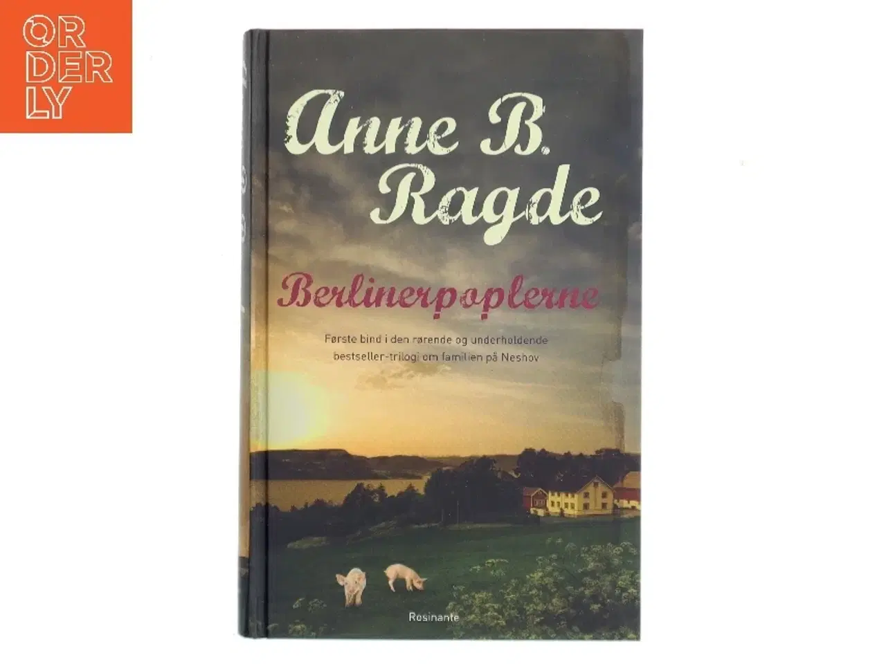 Billede 1 - Berlinerpoplerne : roman af Anne B. Ragde (Bog)