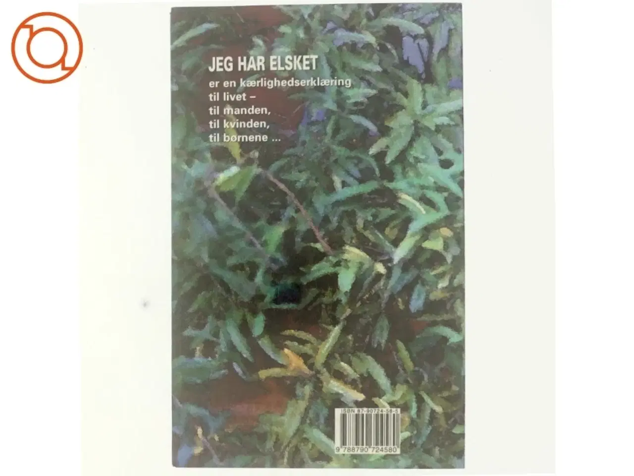 Billede 3 - Jeg har elsket af Anna Gavalda (Bog)