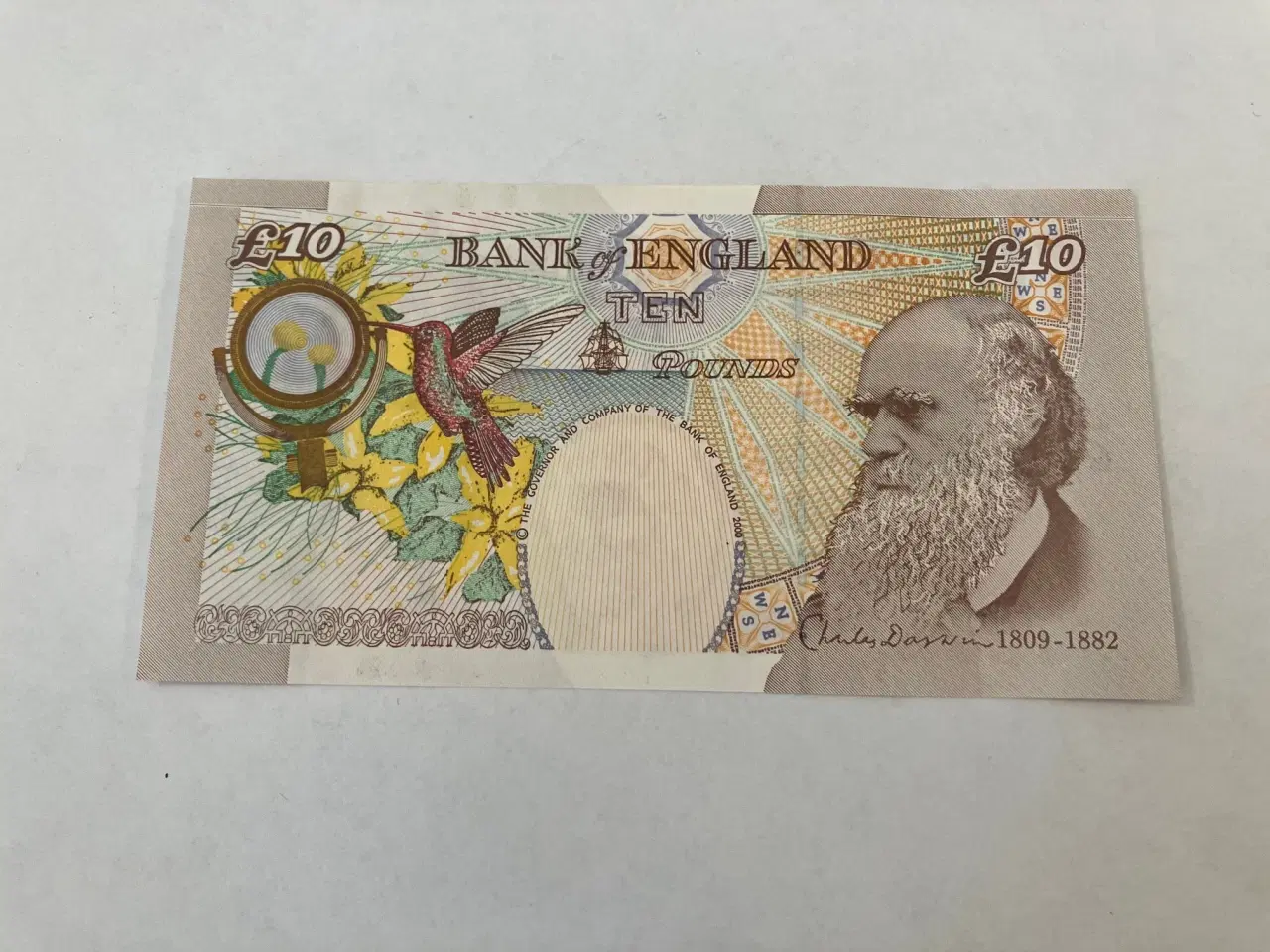 Billede 2 - 10 Pounds England