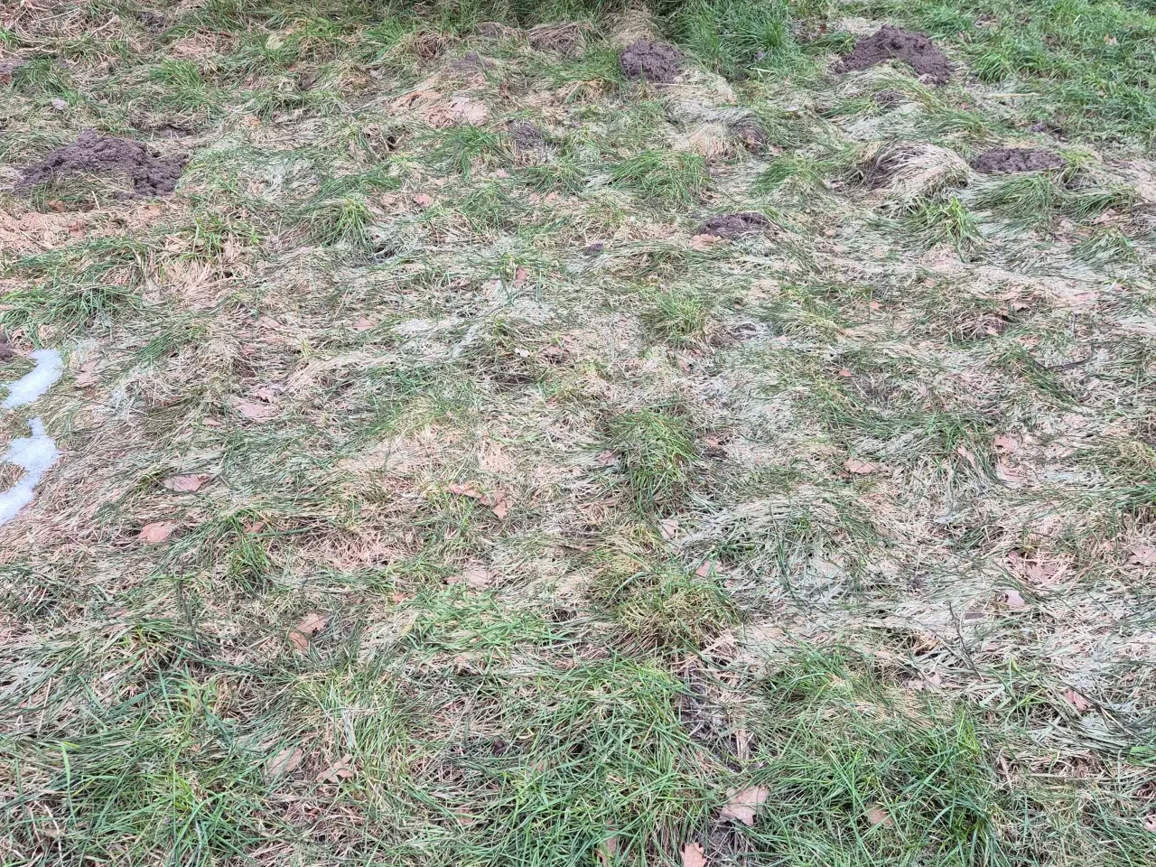 Billede 3 - Halmvogn sælges 