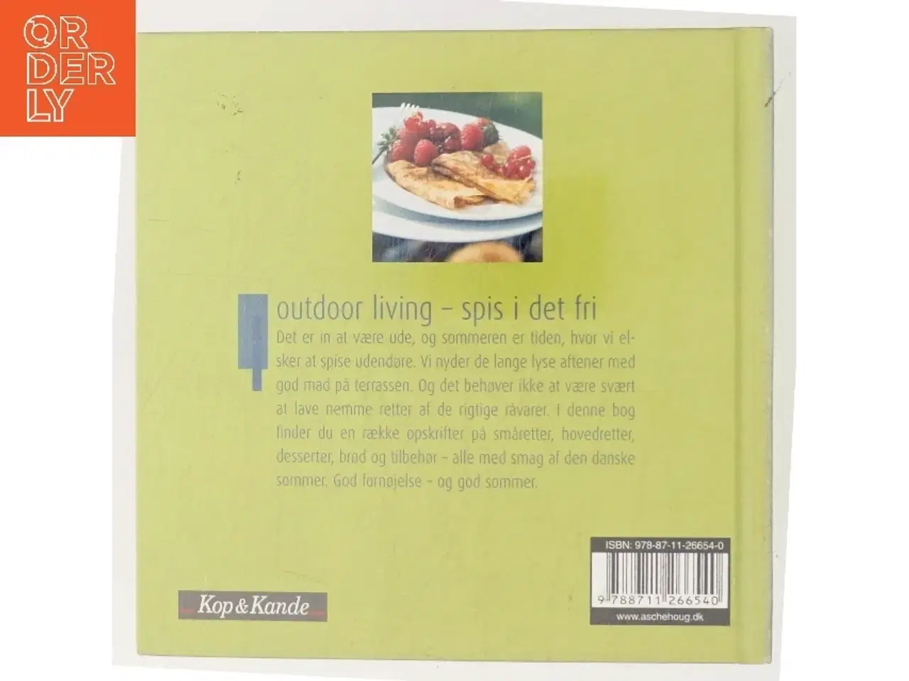 Billede 3 - Outdoor living - spis i det fri : småretter, hovedretter, desserter, brød og tilbehør af Sandra Leigh Draznin (Bog)