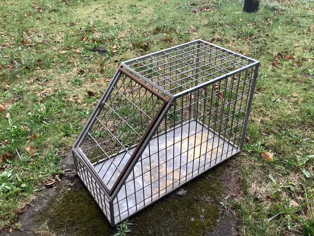 Billede 2 - Hundebur til transport