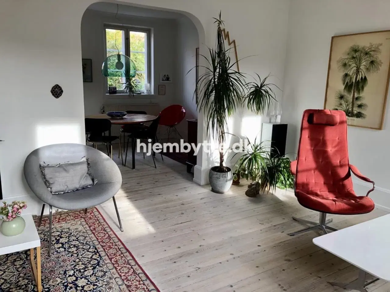 Billede 3 - Hjembytte - Pilevangen