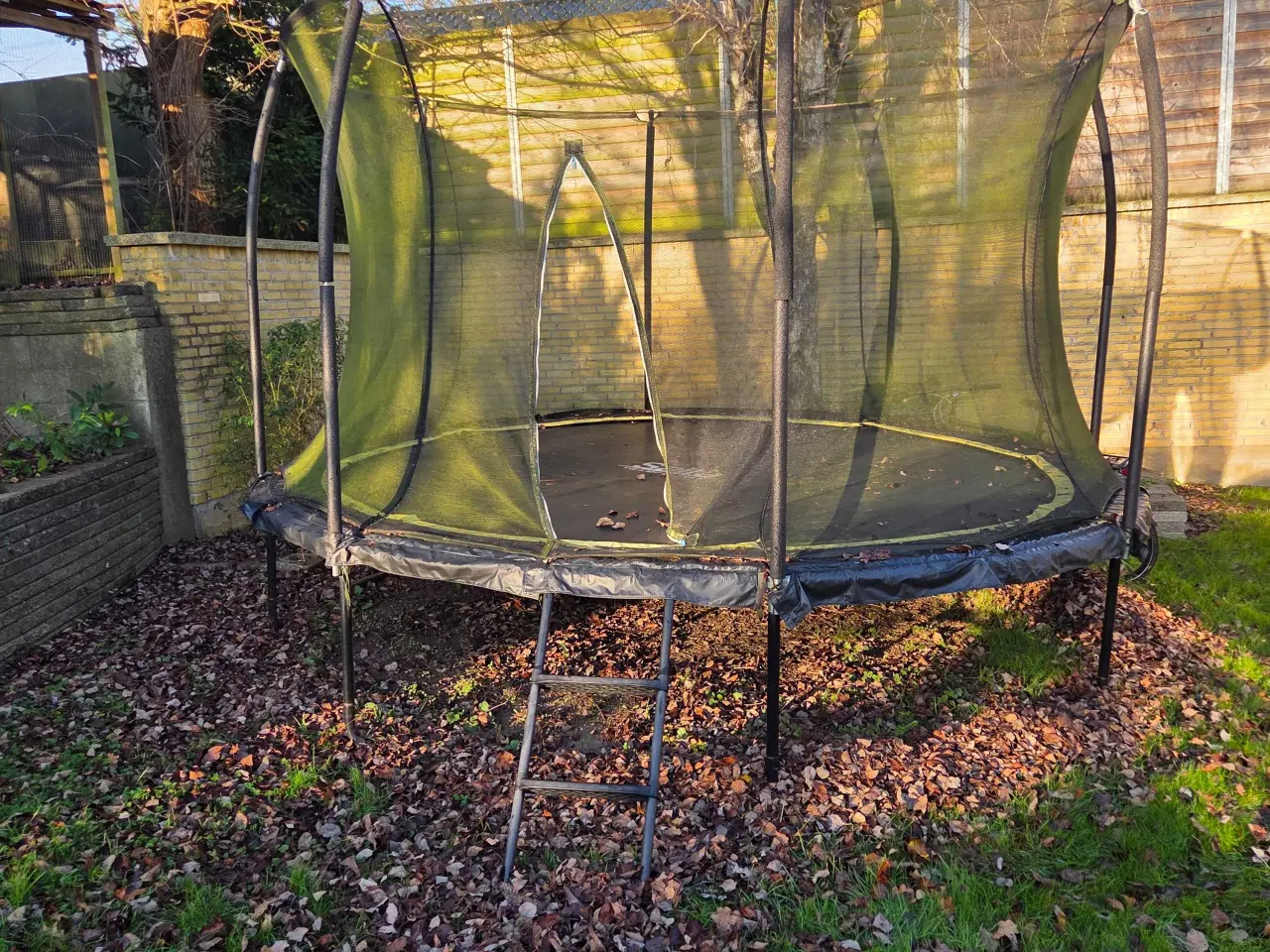 Billede 2 - Trampolin fra Salta 