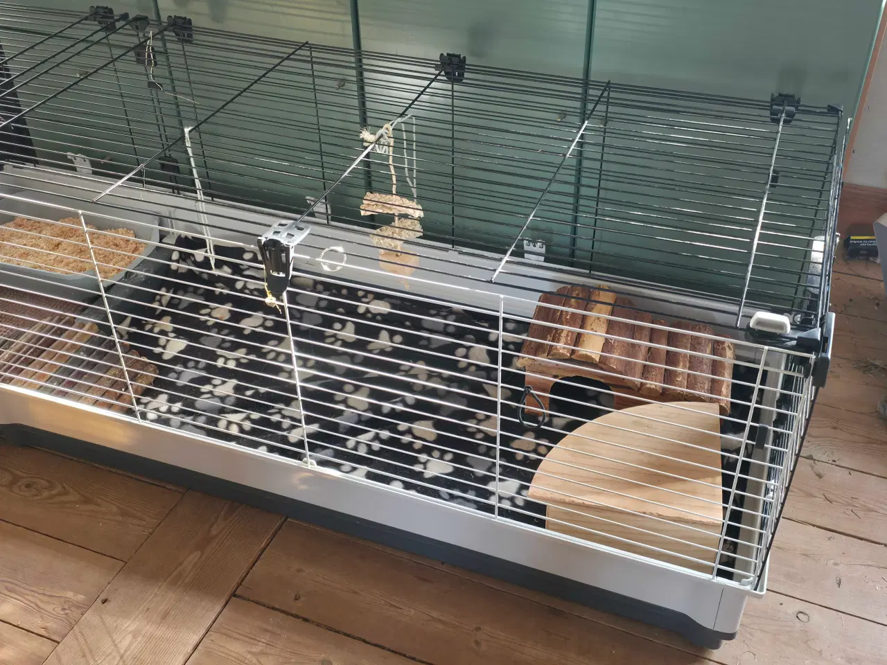 Billede 2 - Marsvin med alt