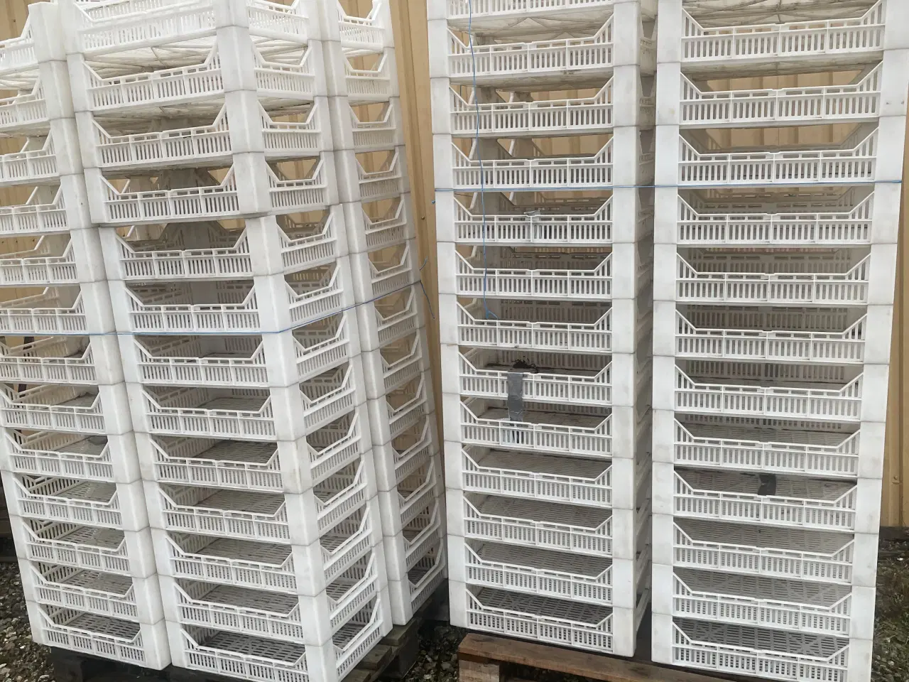 Billede 1 - Kartoffelspirekasser i hård plast