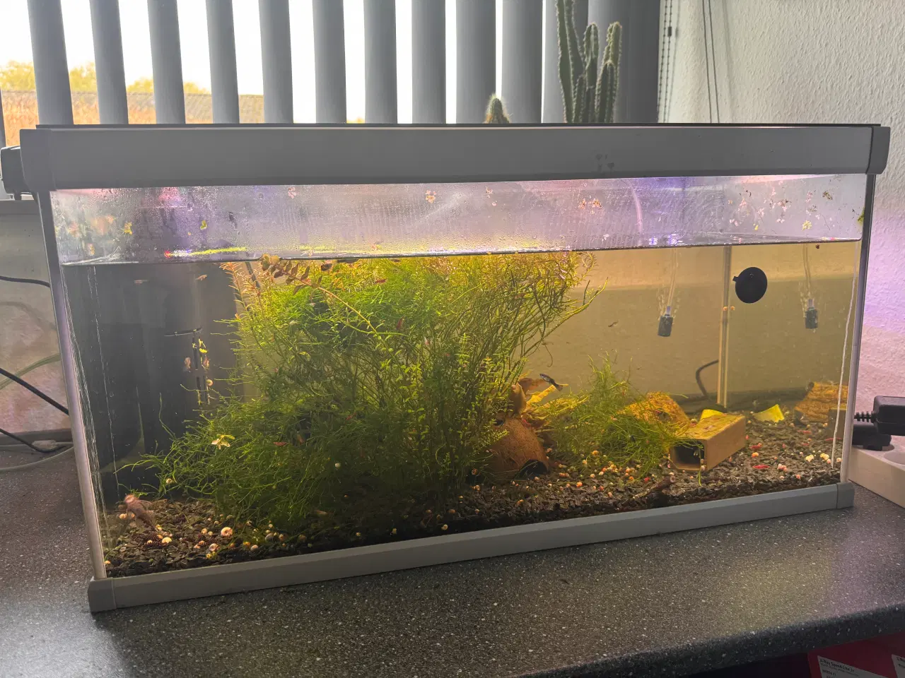 Billede 1 - Akvarium 