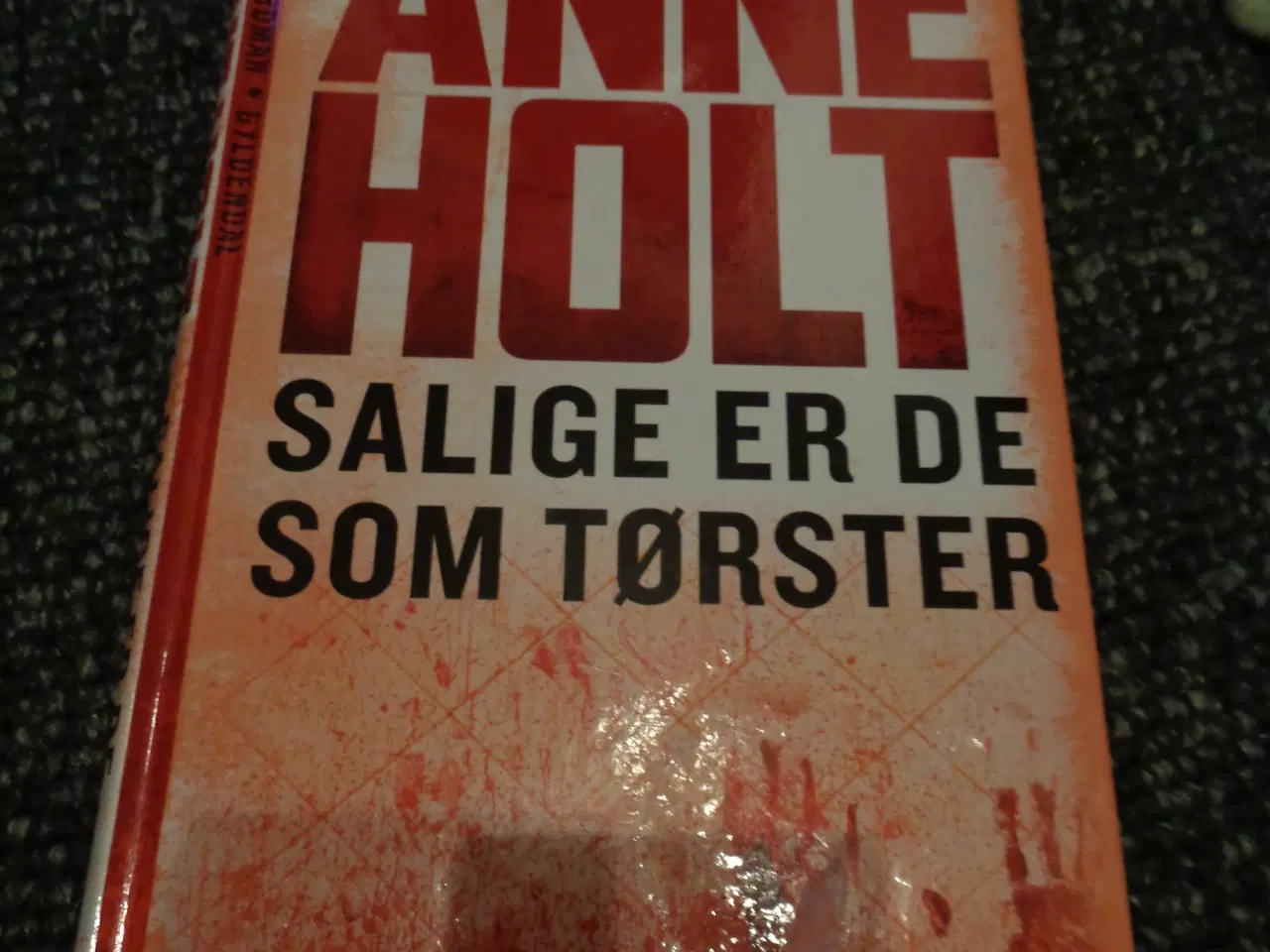 Billede 4 - Ane Holt 