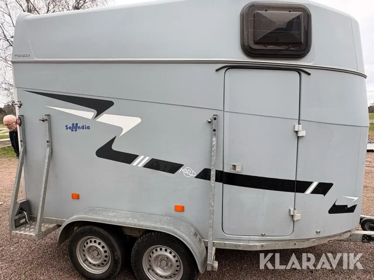 Billede 6 - Hestetrailer Maro Selandia