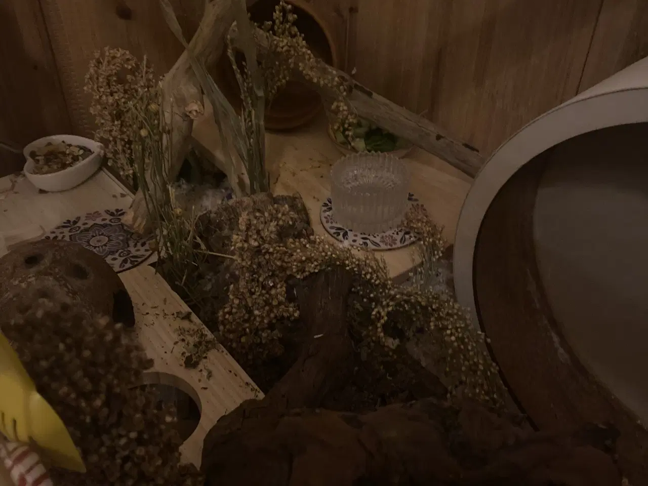 Billede 6 - Sødeste Guld hamster sælges med bur