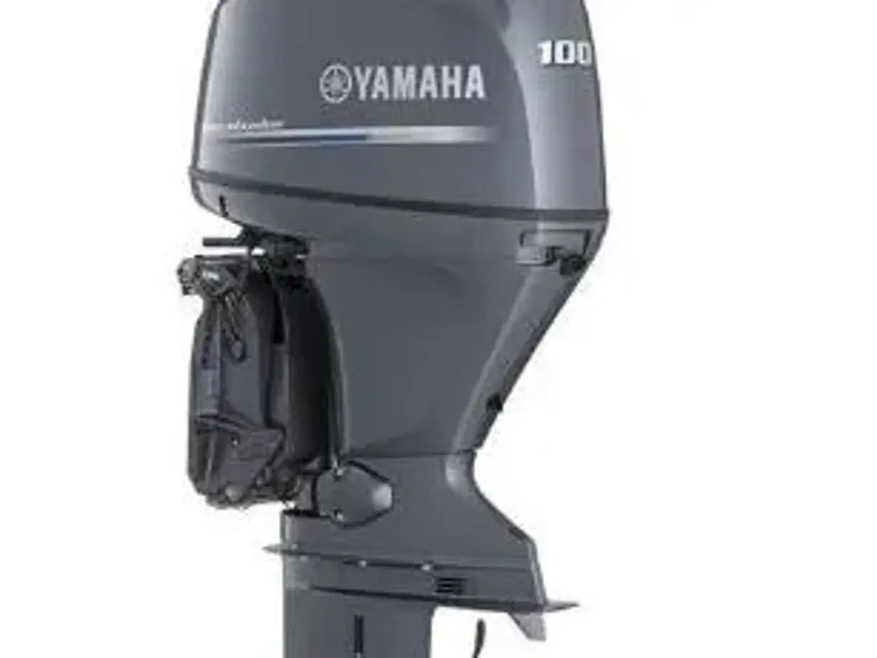 Billede 1 - Yamaha F100