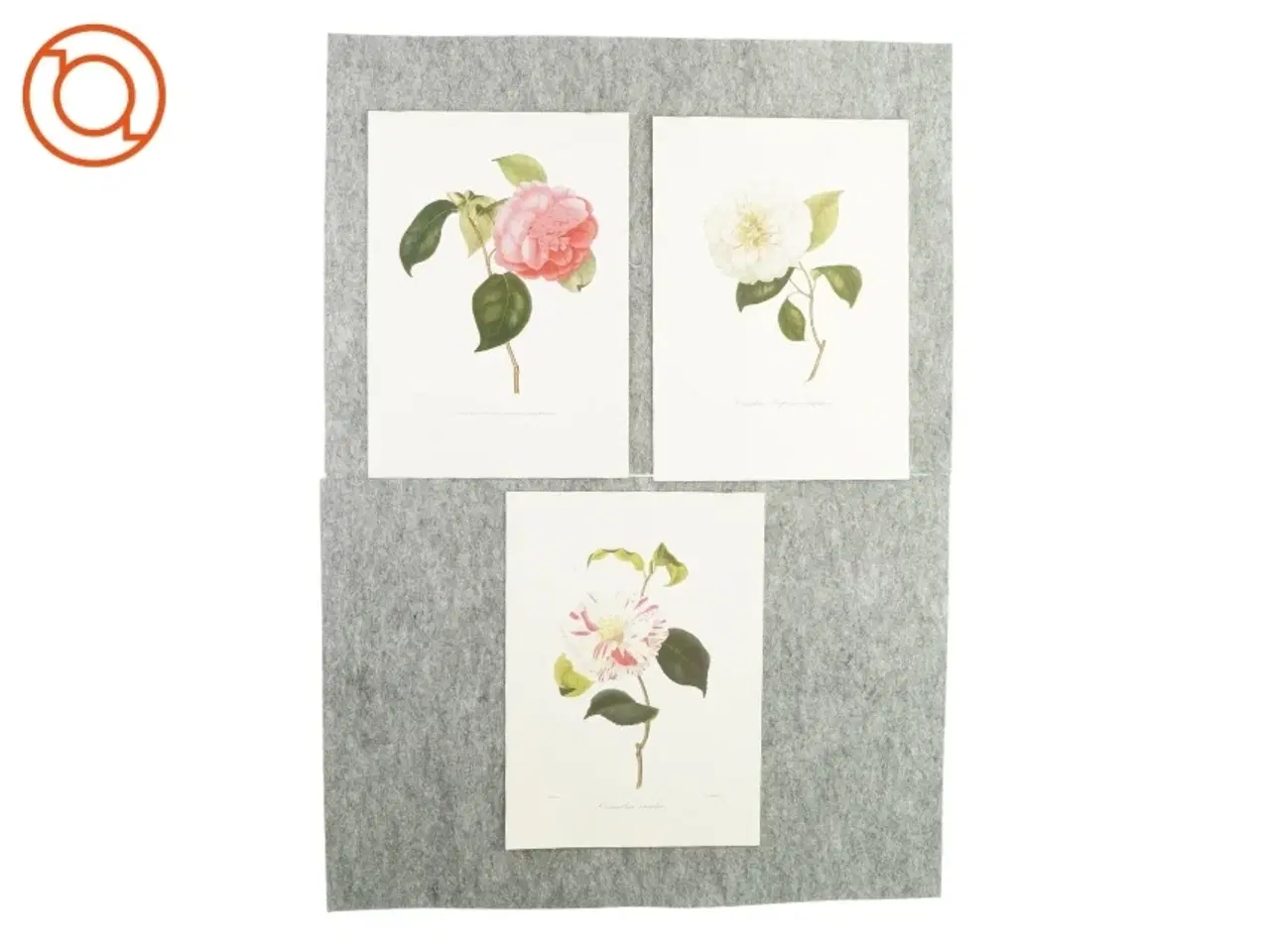 Billede 1 - Plakater med blomstermotiv (3 styk)