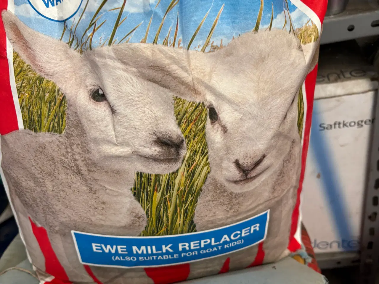 Billede 1 - Mælkeerstatning lam og gedekid