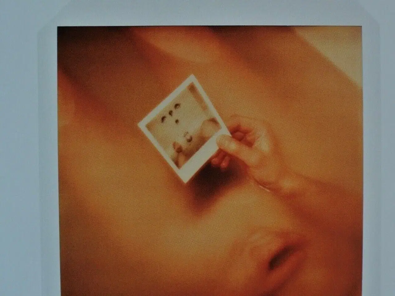Billede 2 - the polaroid book - selections from the polaroid ,