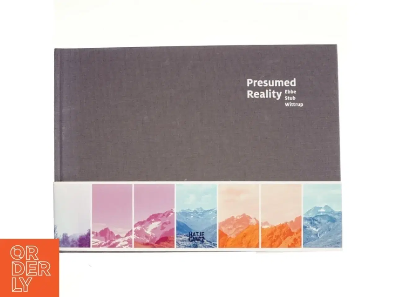 Billede 1 - Presumed reality : Ebbe Stub Wittrup af Gitte Broeng (Bog)