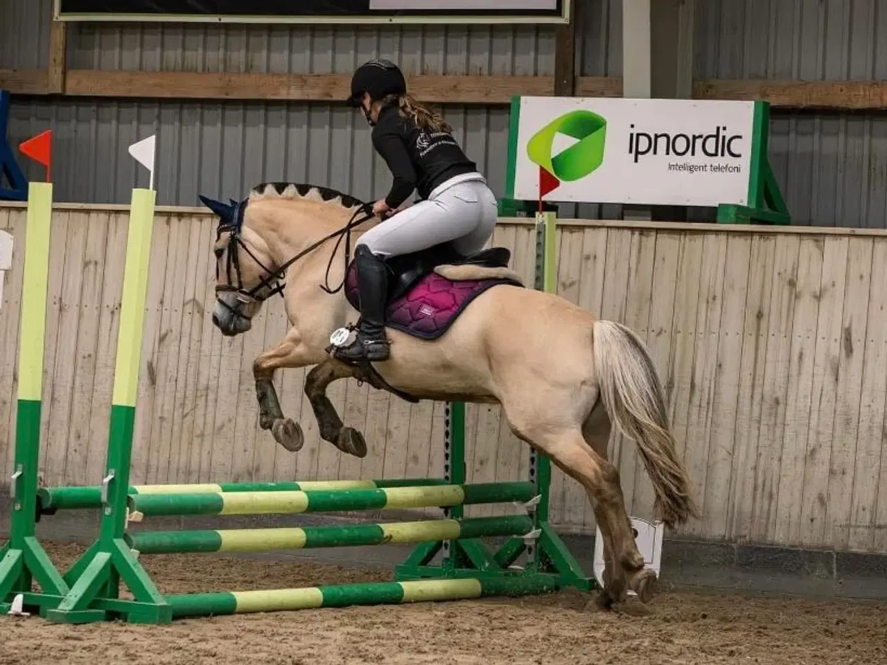 Billede 2 - Tilbyder undervisning på min pony! 
