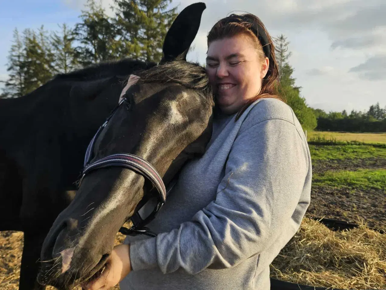 Billede 8 - Hannovaraner hoppe fra 2012