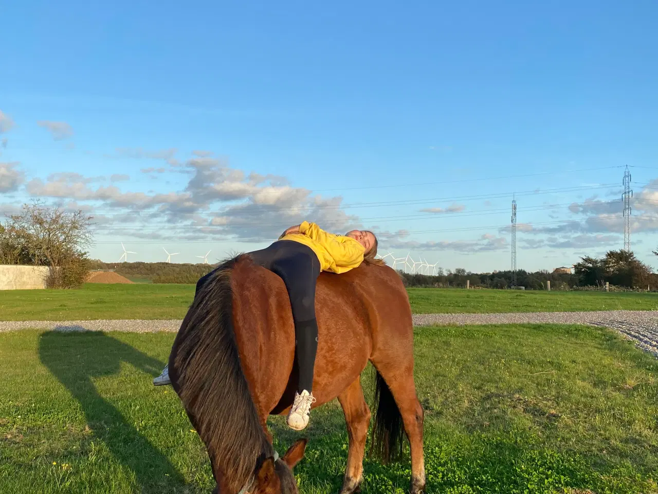 Billede 6 - Sødeste børnepony søger ny familie. 