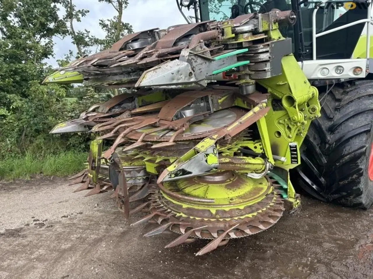 Billede 2 - CLAAS Orris 750 Majsskærebord