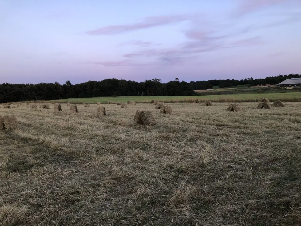 Billede 4 - Hø i små baller, Morten Korch baller
