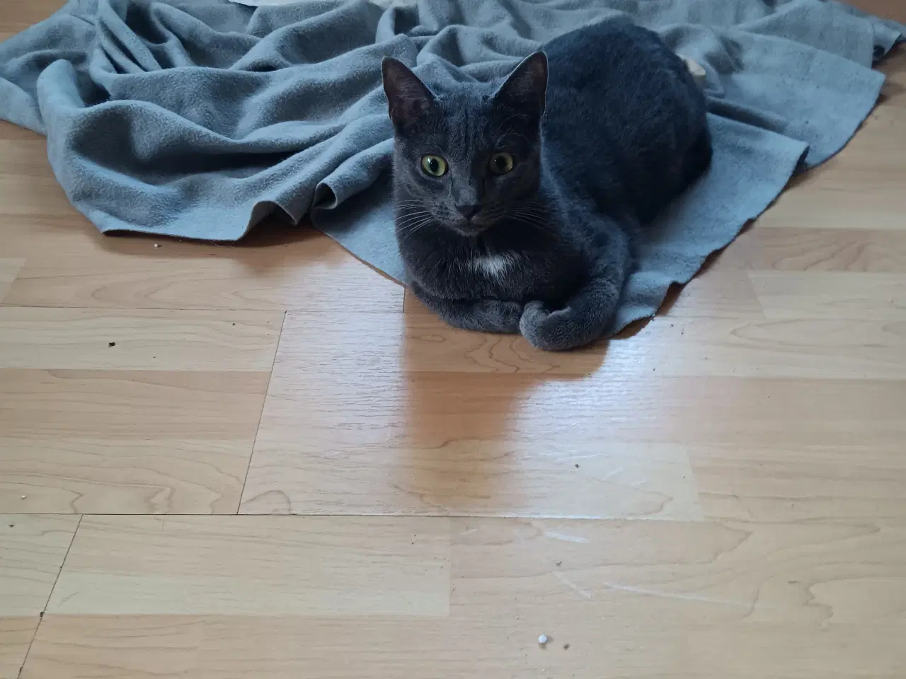 Billede 3 - Grundet flytni g