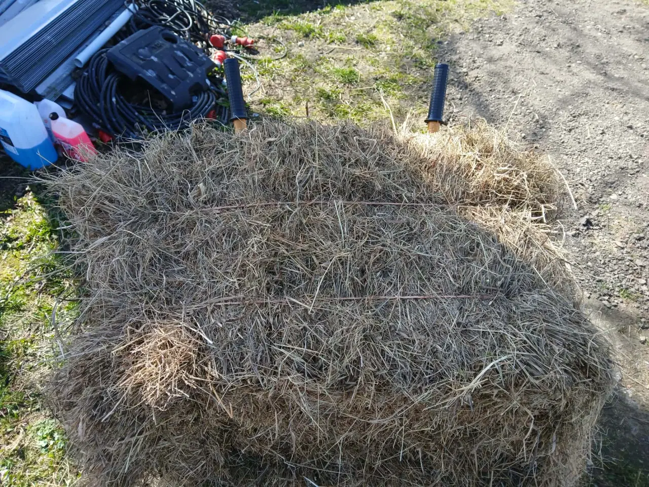 Billede 2 - Støvfrit hø af god kvalitet