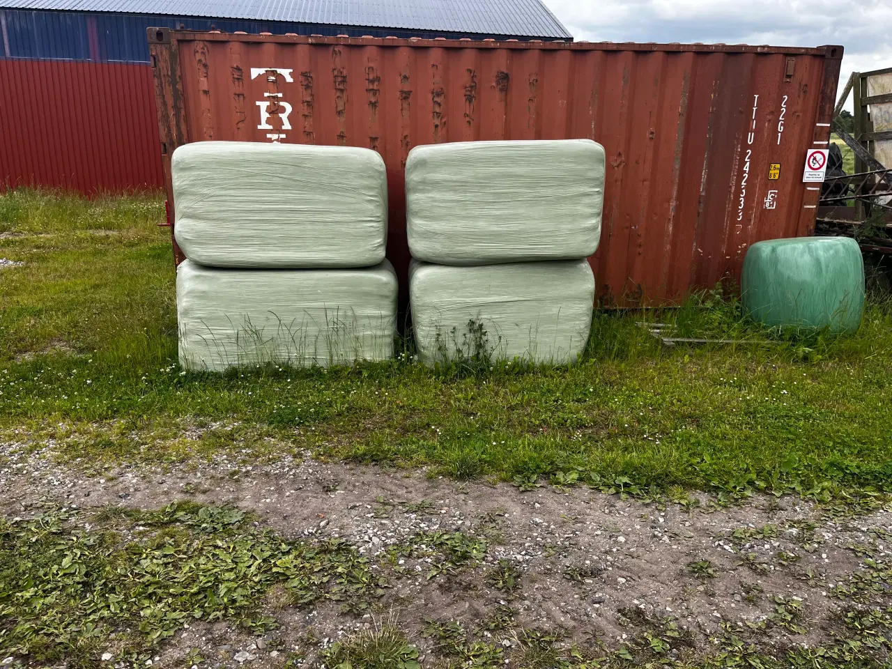 Billede 2 - Øko wrap hø i 500kgs Rundballer mm 