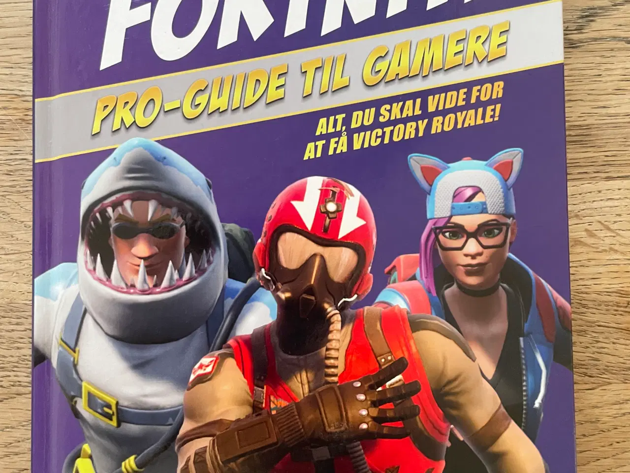 Billede 1 - Fortnite Pro-Guide til gamere