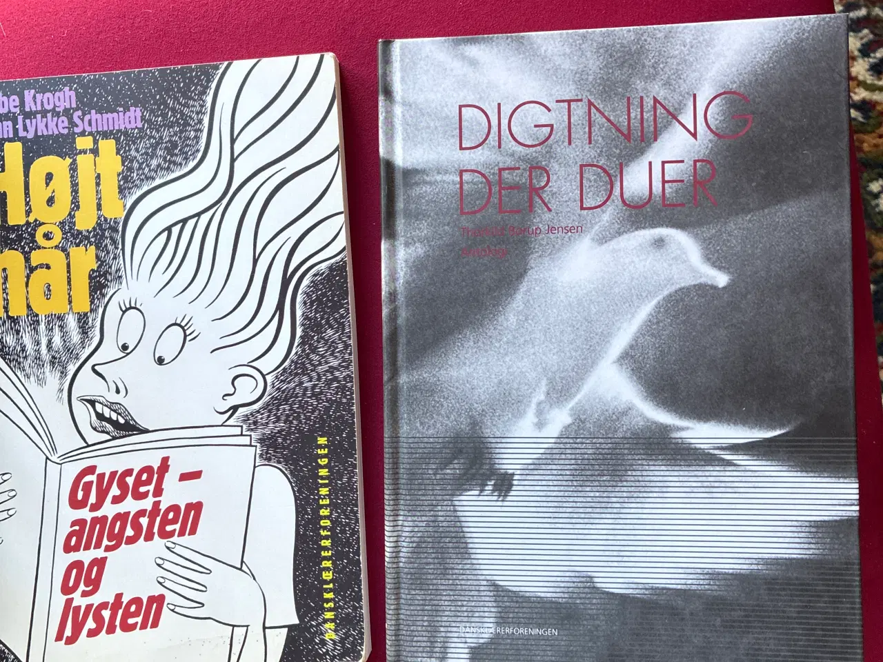 Billede 1 - Inspiration til danskundervisning