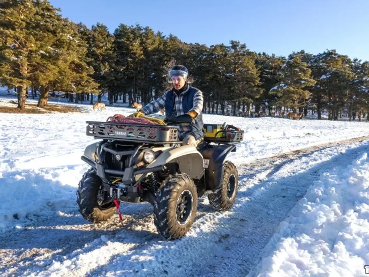 Billede 7 - Yamaha Kodiak 700 EPS Kiwami - Traktor
