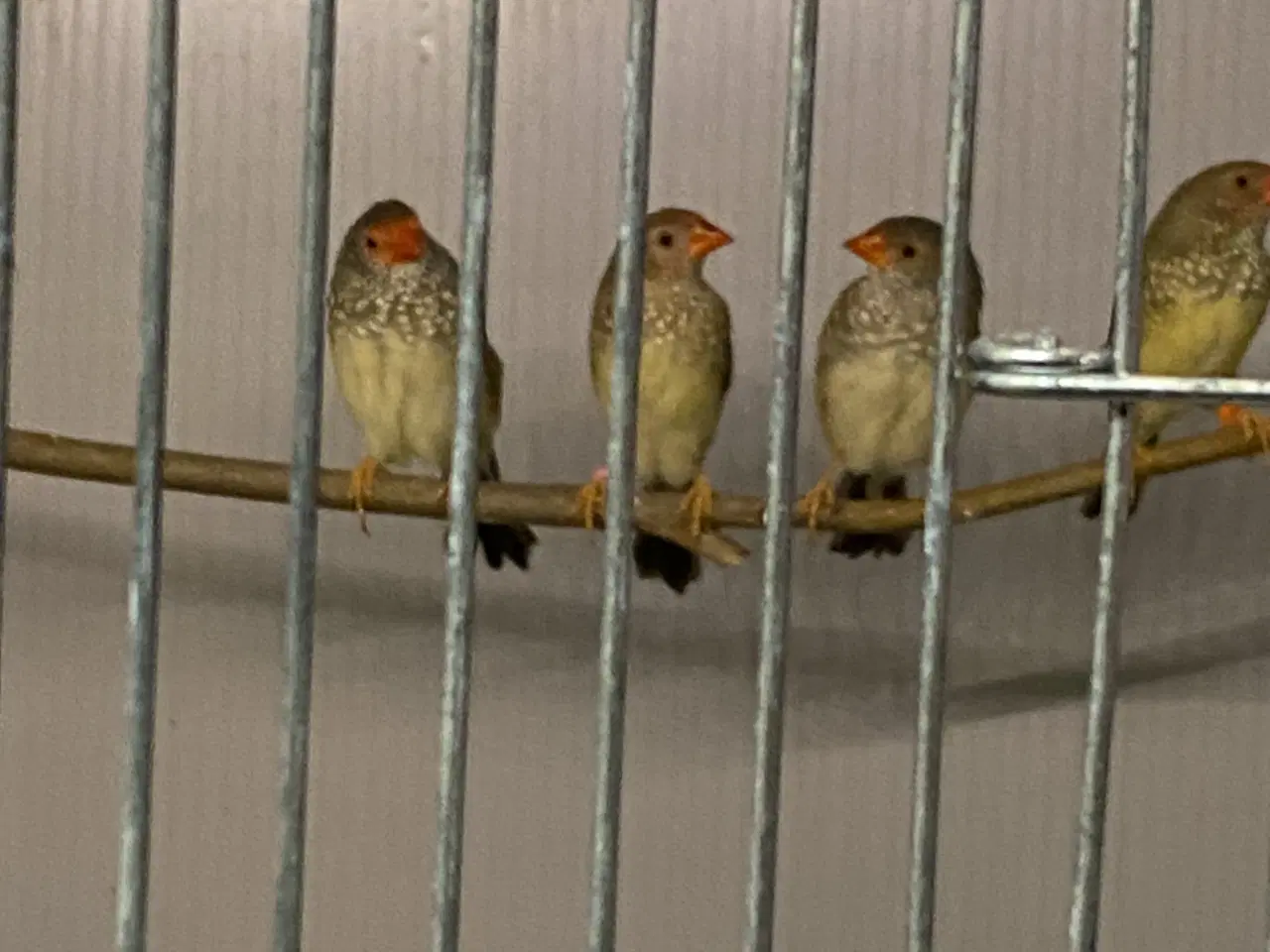 Billede 5 - Div finker