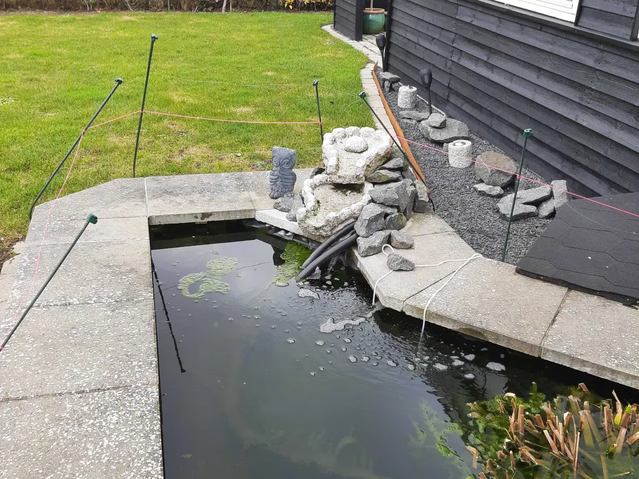 Billede 4 - Havebassin 
