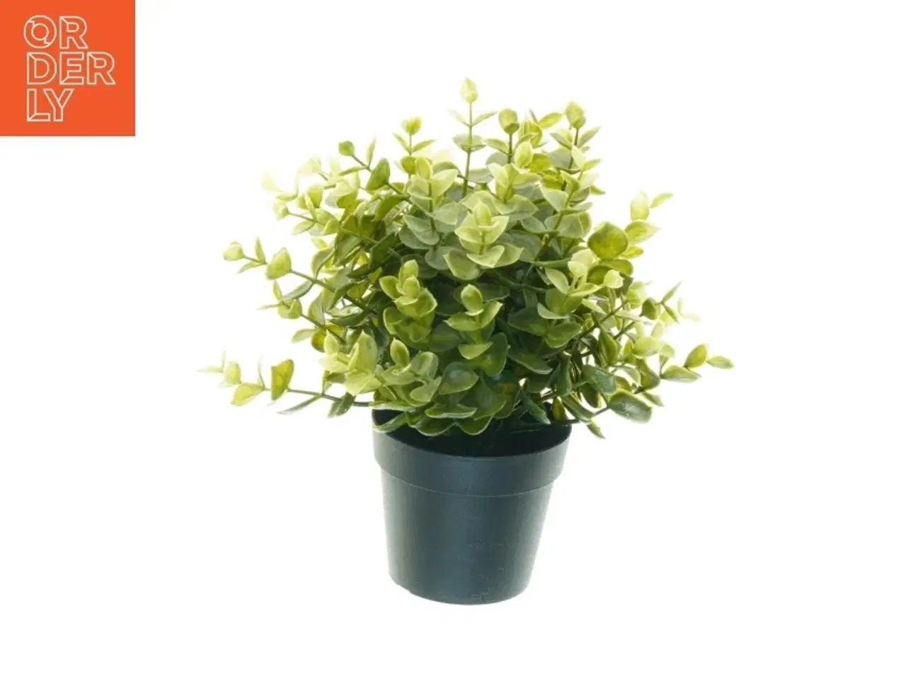 Billede 4 - Kunstig plante i potte (str. 21 x, 15 cm)