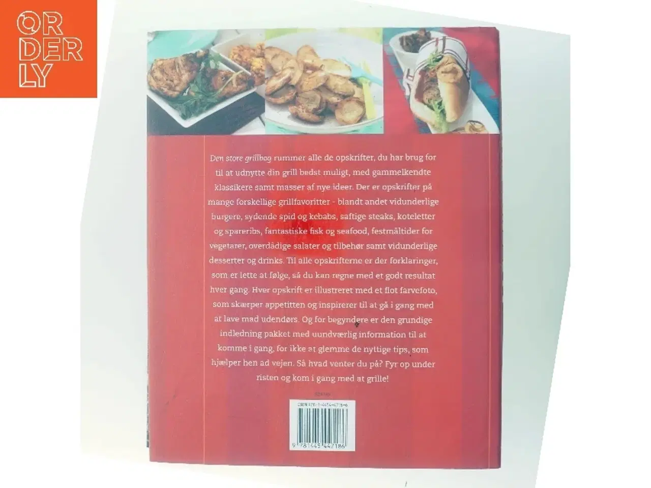 Billede 3 - Den store grillbog