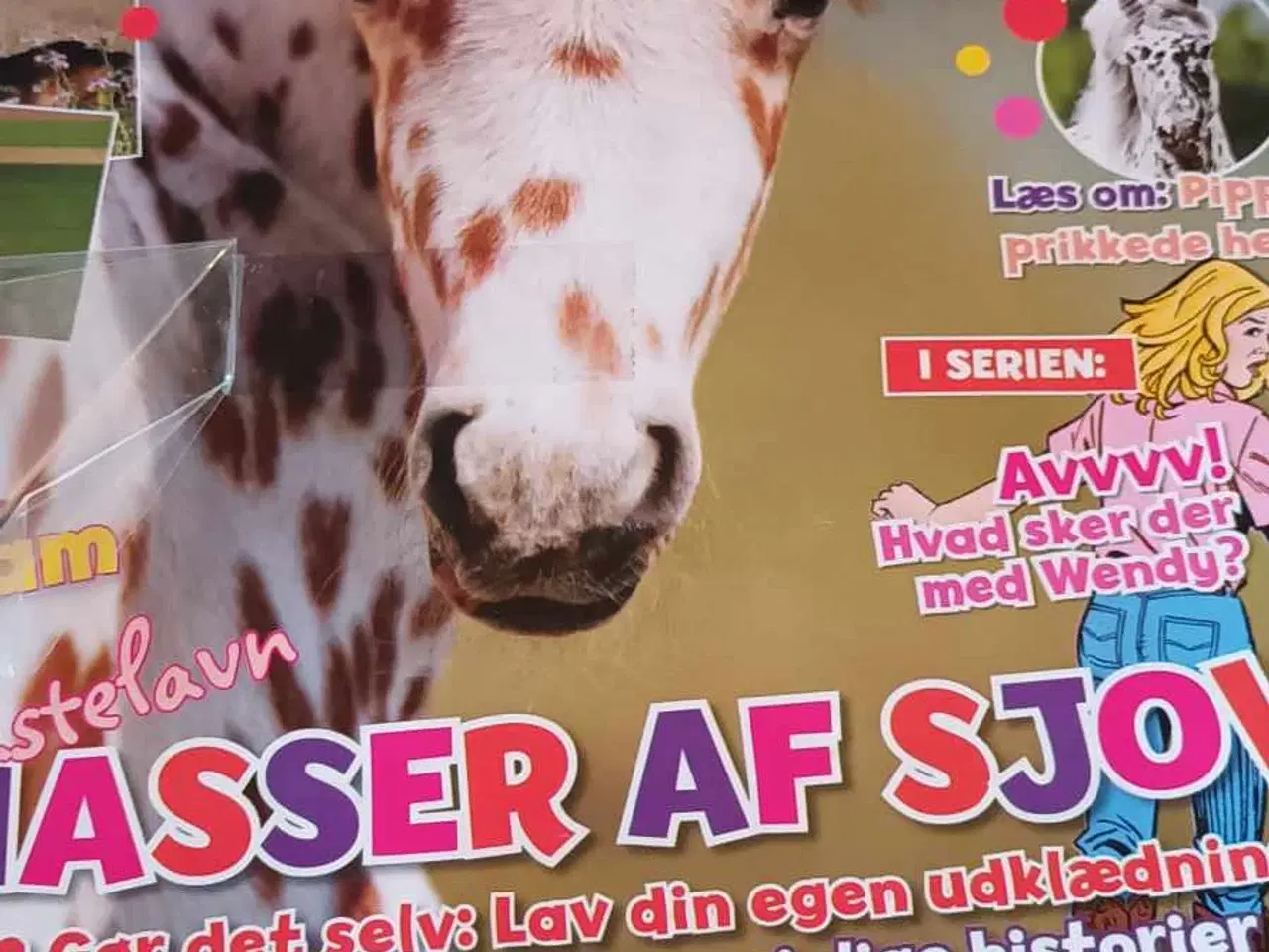 Billede 10 - Wendy Blad.